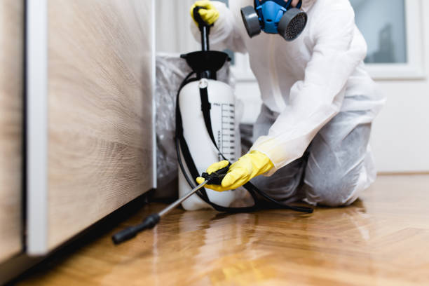 Best Pest Inspection Near Me  in Woodland Park, CO